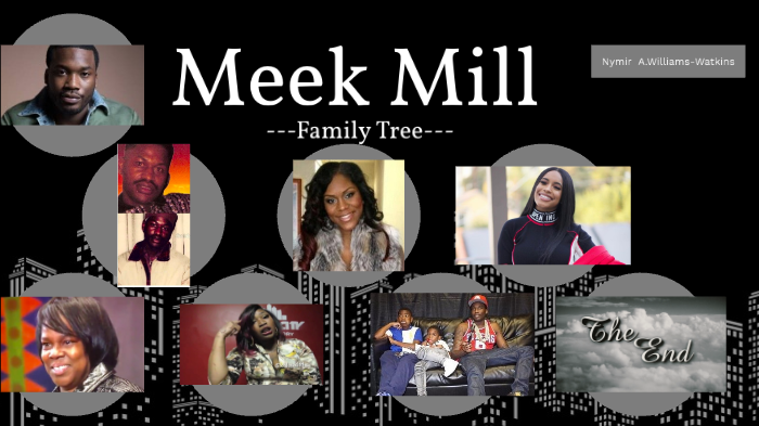 Meek Mill Family