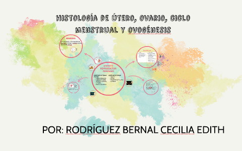 histología de la fase menstrual del útero