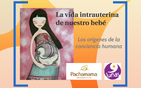 La Vida Intrauterina De Nuestro Bebé By Patricia Ruiz Díaz On Prezi