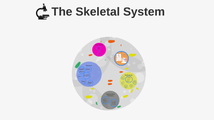 The Skeletal System by Kelsey Coulter on Prezi