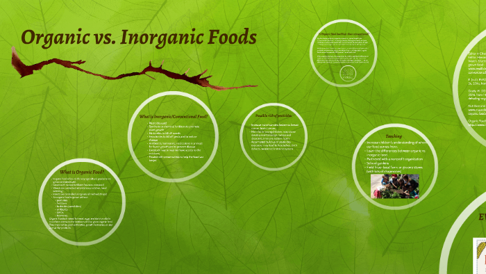 organic and inorganic food essay