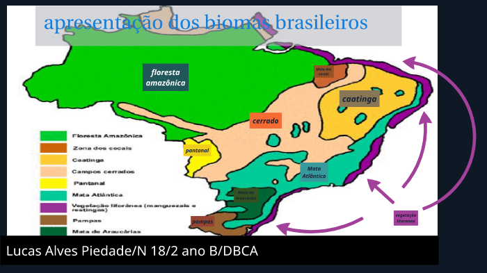 biomas brasileiros by lucas alves on Prezi