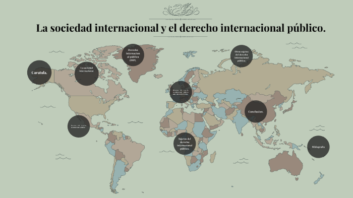 La Sociedad Internacional y el Derecho Internacional Público. by QUITZE