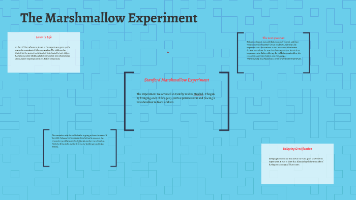 sociology marshmallow experiment