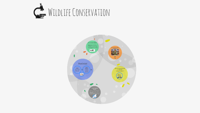 Wildlife Conservation by on Prezi