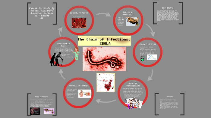 chain of transmission of infectious disease