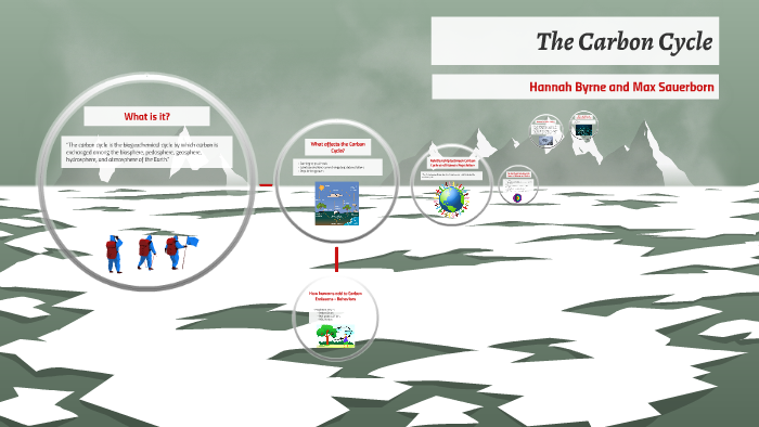 The Carbon Cycle by Hannah Byrne on Prezi