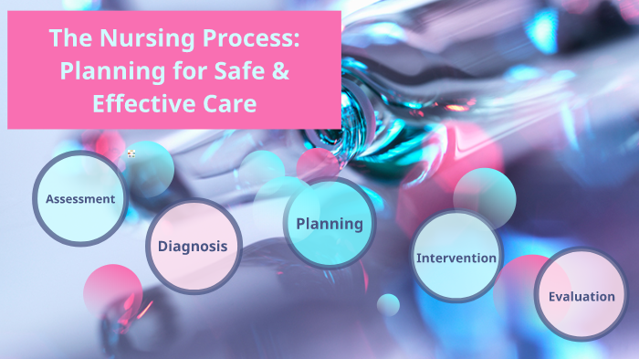 The Nursing Process by Lesley Ellison