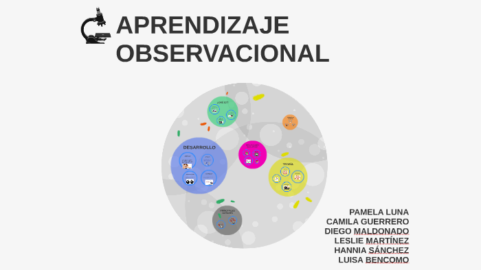 APRENDIZAJE OBSERVACIONAL By Camila Guerrero On Prezi Next