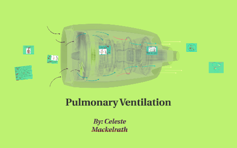 Pulmonary Ventilaion by Celeste Mackelrath on Prezi