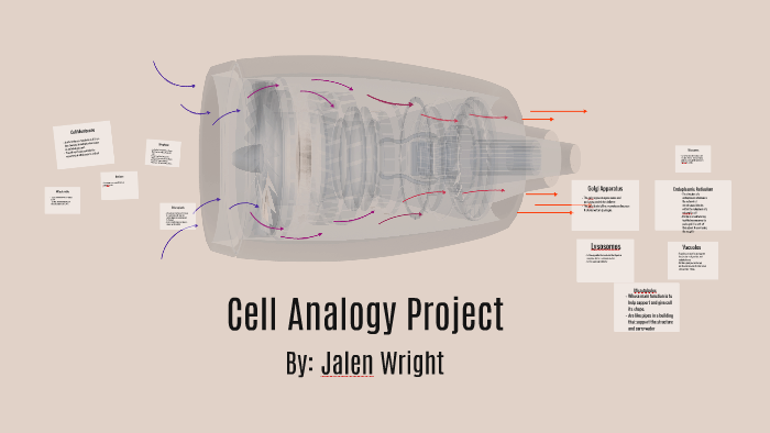 Cell Analogy Project by jalen wright on Prezi