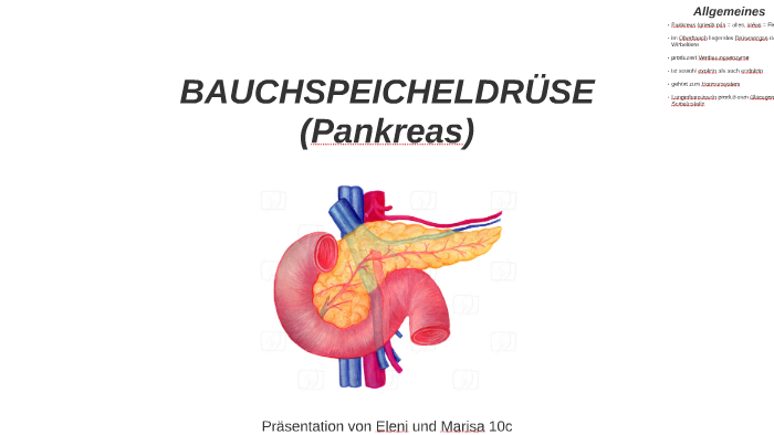 BAUCHSPEICHELDRÜSE By Eleni Zewdie On Prezi