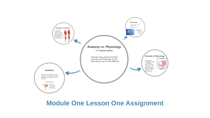 Anatomy vs. Physiology by Kayleigh Sigmon on Prezi