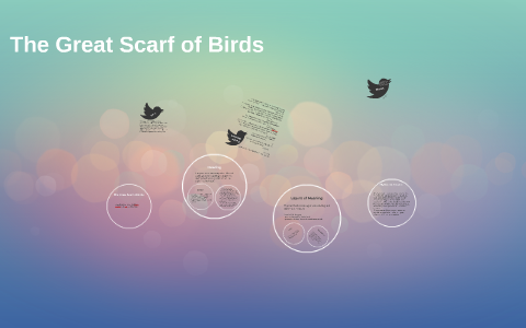 the great scarf of birds poem