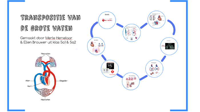 Transpositie van de grote vaten by Ellen Brouwer on Prezi
