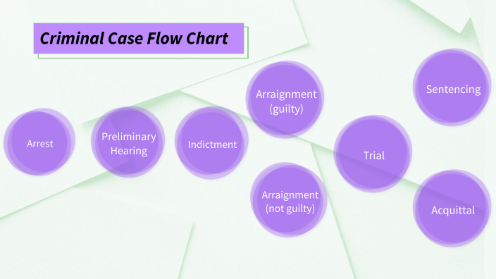 Criminal Case Flow Chart by Jennings Cheek