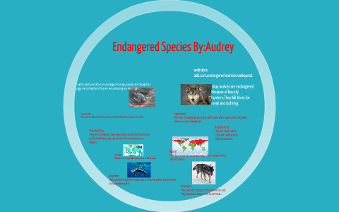 Endangered Species by Audreys Anthony on Prezi