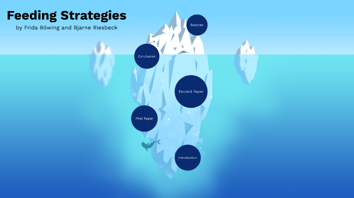 feeding-strategies-by-bj-arne