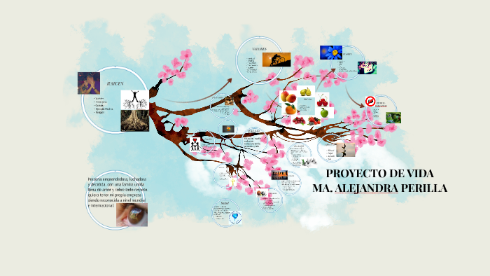 PROYECTO DE VIDA by Maria alejandra perilla on Prezi