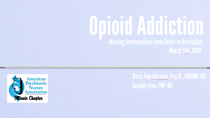 Opiate Addiction: Nursing Interventions from Detox to Remission by Joe ...