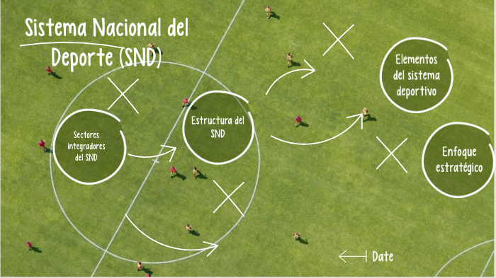 Sistema del deporte by andres meneses on Prezi