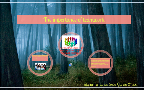 The importance of teamwork by Mafer SG on Prezi
