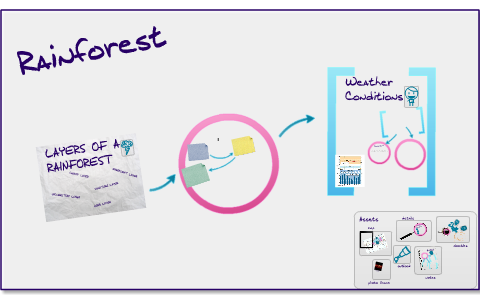 Layers of a Rainforest by Caleb Small on Prezi