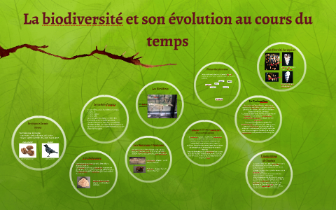 La biodiversité et son évolution au cours du temps by elisa bal on ...