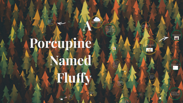 A Porcupine Named Fluffy by Jasper Poore on Prezi