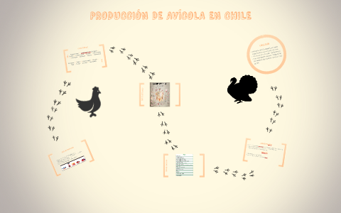 PRODUCCIÓN DE AVÍCOLA EN CHILE by Karen Fernández on Prezi
