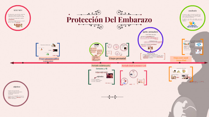 Proteccion Del Embarazo By Juan Alejandro Victoria On Prezi