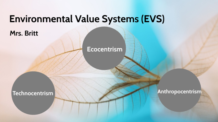 environmental-value-systems-evs-by-tayler-shea-britt