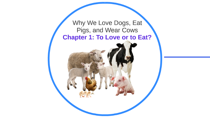 why do we love dogs eat pigs and wear cows