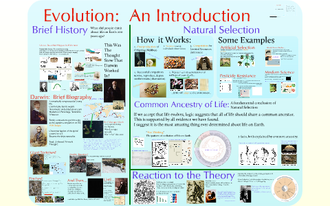 AP Bio - Evolution 1 ~ Introduction to Evolution by Cindy Savage on Prezi