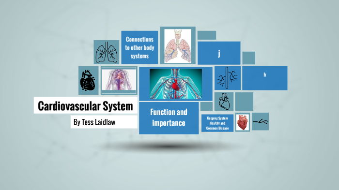 Cardiovascular System By Tess Laidlaw On Prezi