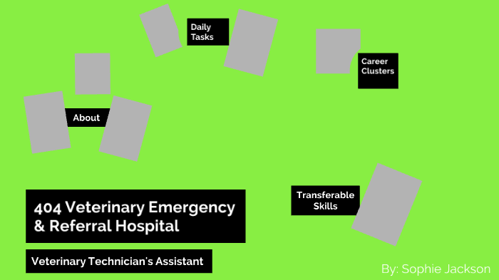 404 vet emergency hospital