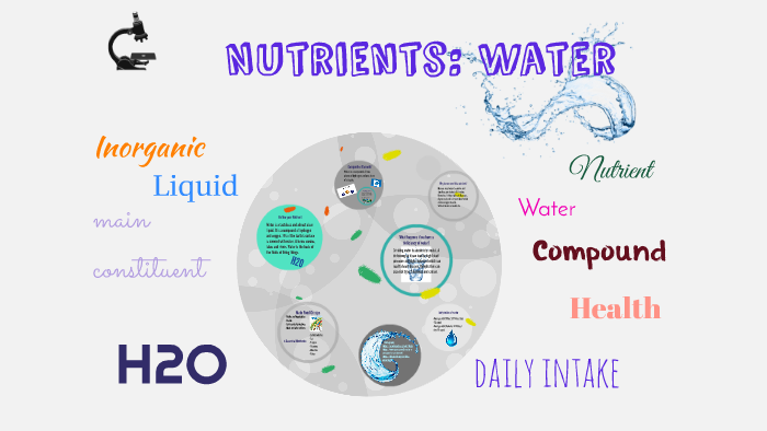 Nutrients Water By Mehar Sighat On Prezi