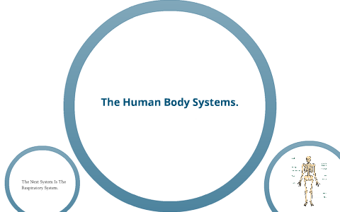 The Human Body Systems By Colby C. On Prezi