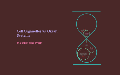 Cell Organelles vs. Organ Systems by Megan Simpkins on Prezi