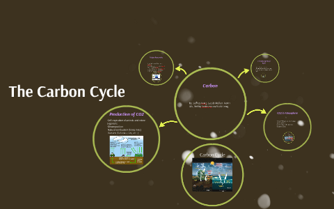 The Carbon Cycle by Robert Smieszny on Prezi