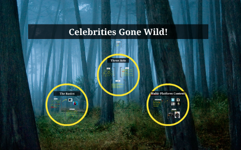 Celebrities Gone Wild! by Victoria Sciancalepore on Prezi