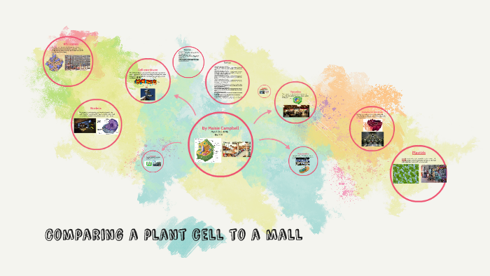 Comparing a plant cell to a mall by Maisie Campbell on Prezi