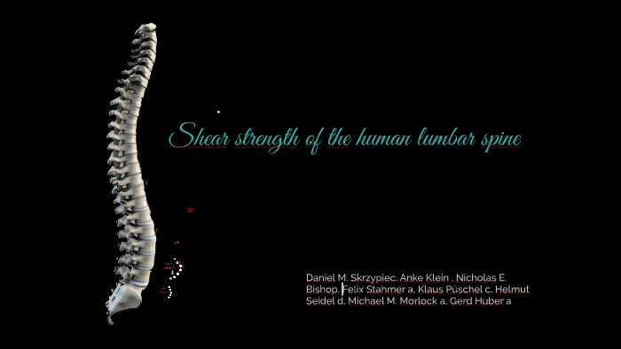 Shear strength of the human lumbar spine by Kharen Barboza