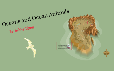 Ocean and Ocean Animals by