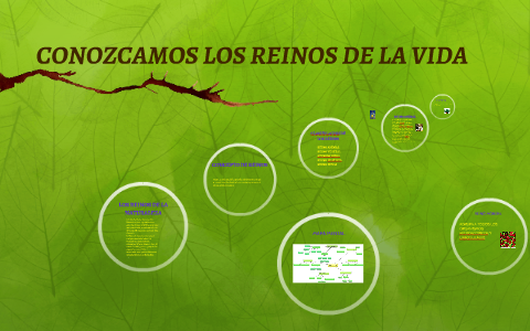 LOS REINOS DE LA NATURALEZA by Darlin Quintero on Prezi
