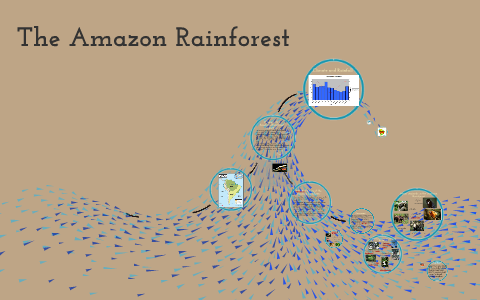 The Amazon Rainforest by Angel Salazar on Prezi