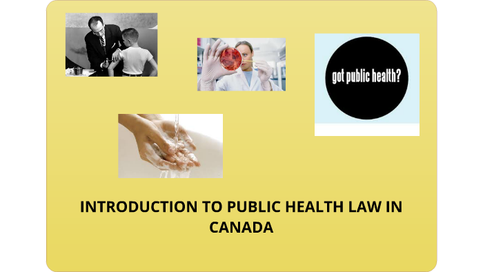 introduction-to-public-health-law-in-canada-by-ubaka-ogbogu-on-prezi-next