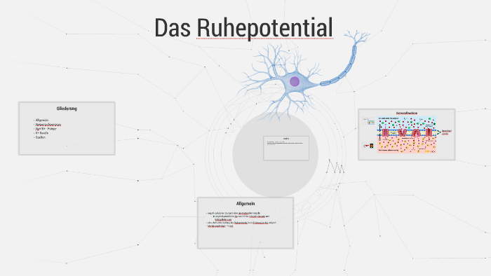 Das Ruhepotential by daniel barre on Prezi