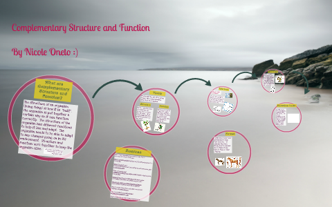 function structure complementary