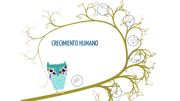CRECIMIENTO HUMANO: SOCIAL, LABORAL. PROFESIONAL, ESPIRITUAL Y BIOLOGICO by  Araceli Baez Munguía